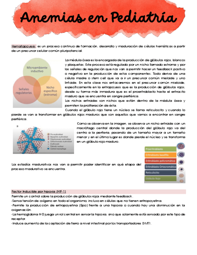 Miniatura del documento 1.-Anemias-en-Pediatria.pdf