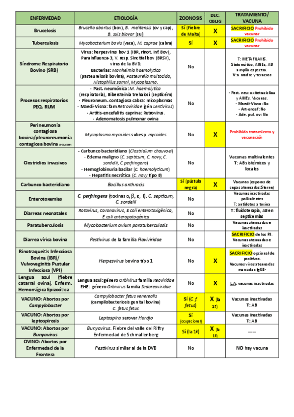 Miniatura del documento TABLA-REPASO-RUMIANTES.pdf