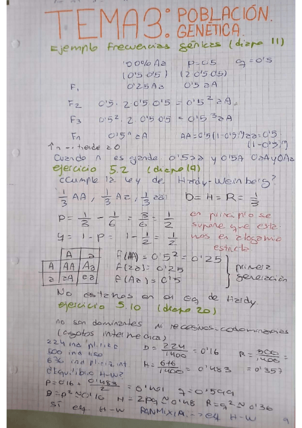 Miniatura del documento TEMA-3.5-3.6-Y-3.8-GENETICA-DE-POBLACIONES-Y-METAPOBLACIONES.pdf