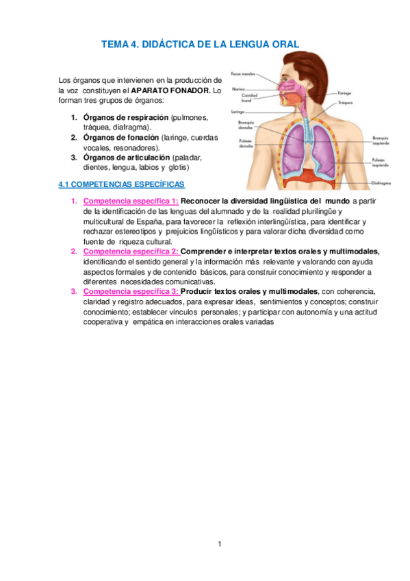 Miniatura del documento TEMA-4-DIDACTICA-DE-LENGUA-Y-LITERATURA.pdf