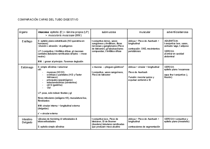 Miniatura del documento comparacion-capas-sistema-digestivo.pdf