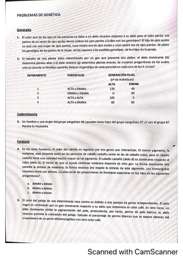 Miniatura del documento PROBLEMAS-DE-GENETICA-RESUELTOS.pdf