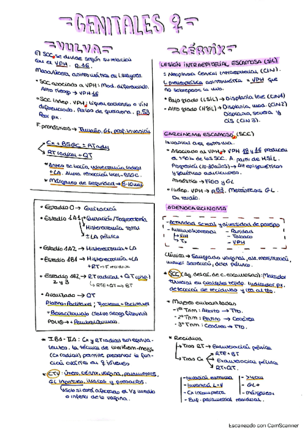Miniatura del documento 7.-TUMORES-GENITALES-FEMENINOS.pdf