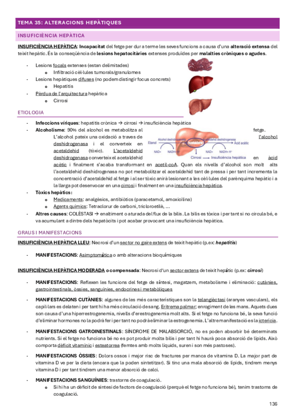 Miniatura del documento Fisiologia-i-Fisiopatologia-II-2024-Tema-35.pdf