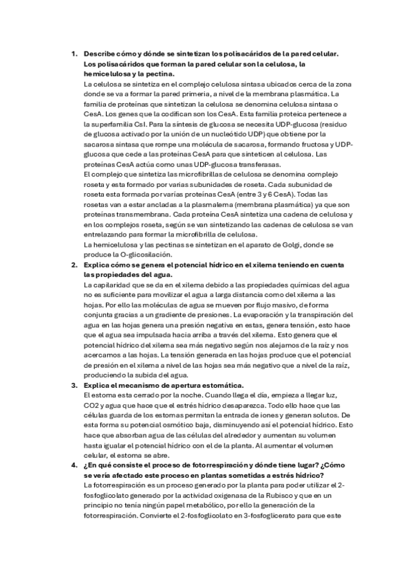 Miniatura del documento Examen-diciembre-resuelto.pdf