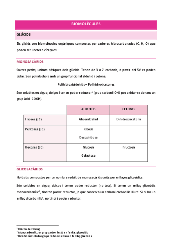 Miniatura del documento Resum-Biomolecules.pdf