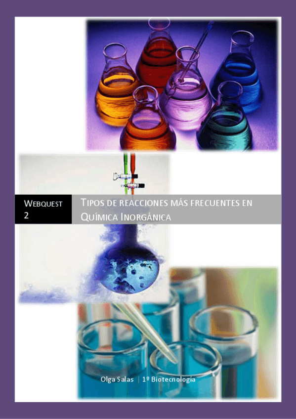 Miniatura del documento QuímicaOlgaWebquestsdsd.pdf