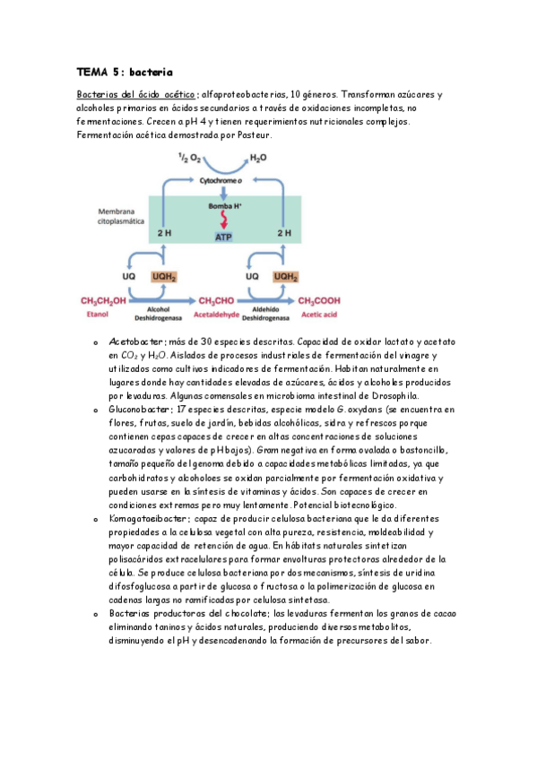 Miniatura del documento TEMA-5.pdf