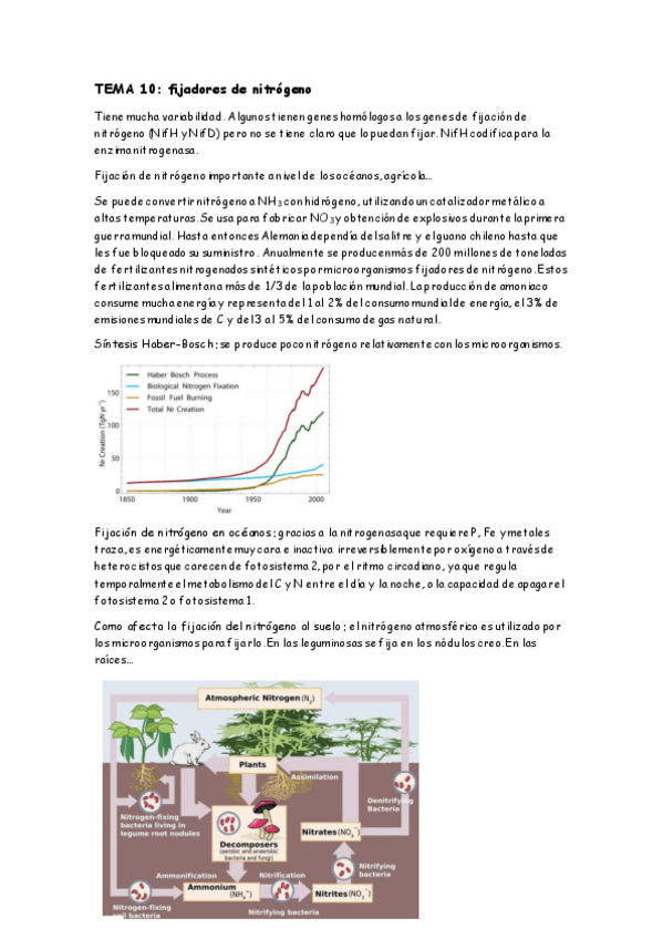 Miniatura del documento TEMA-10.pdf