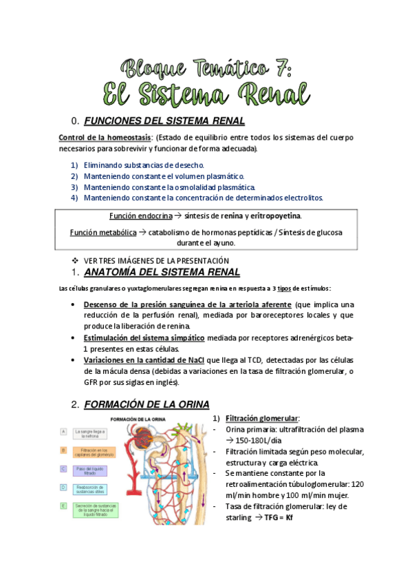 Miniatura del documento TEMA-7.-EL-SISTEMA-RENAL.pdf