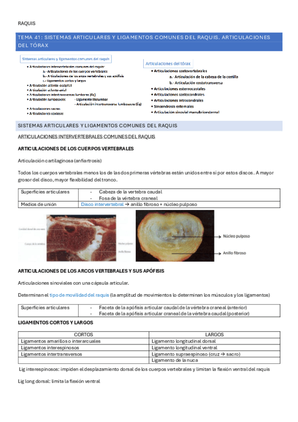Miniatura del documento teoria-RAQUIS-tema-41-45-todo.pdf