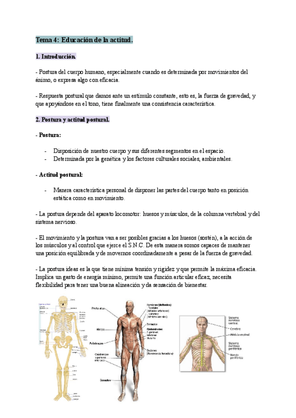 Miniatura del documento Tema-4-Educacion-de-la-actitud.pdf