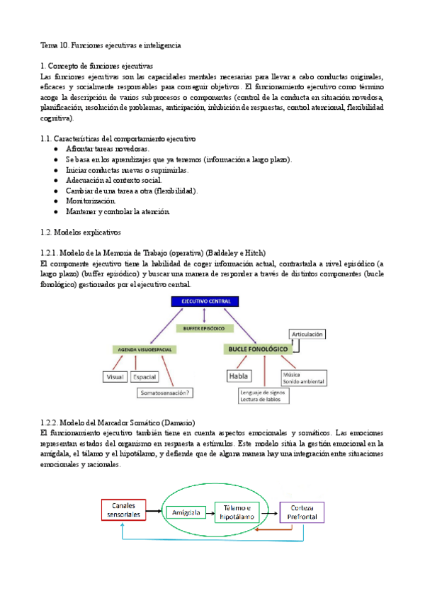 Miniatura del documento Tema-10.-Funciones-ejecutivas-e-inteligencia.pdf
