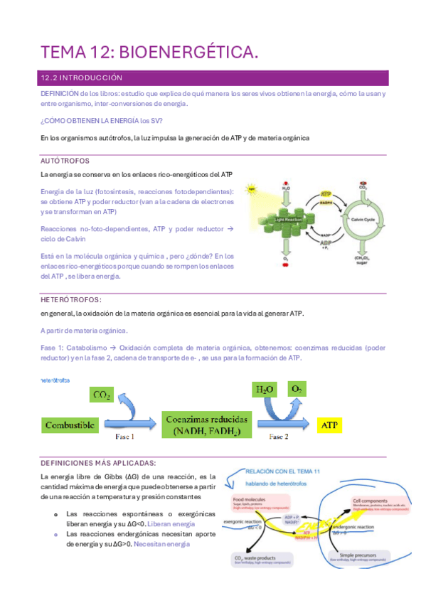 Miniatura del documento tema-12.pdf