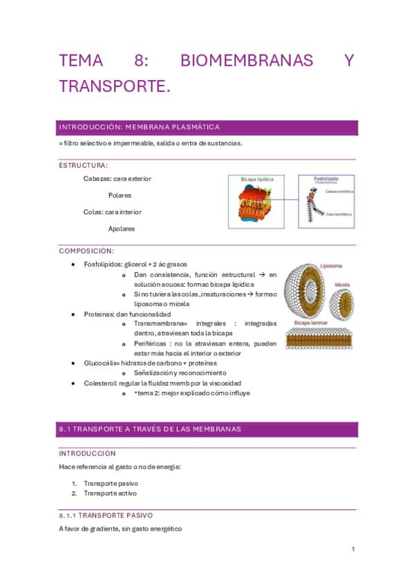Miniatura del documento tema-8.pdf