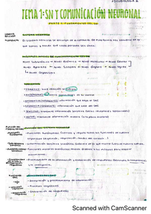 Miniatura del documento Tema-1.-Fundamentos-del-SN.pdf