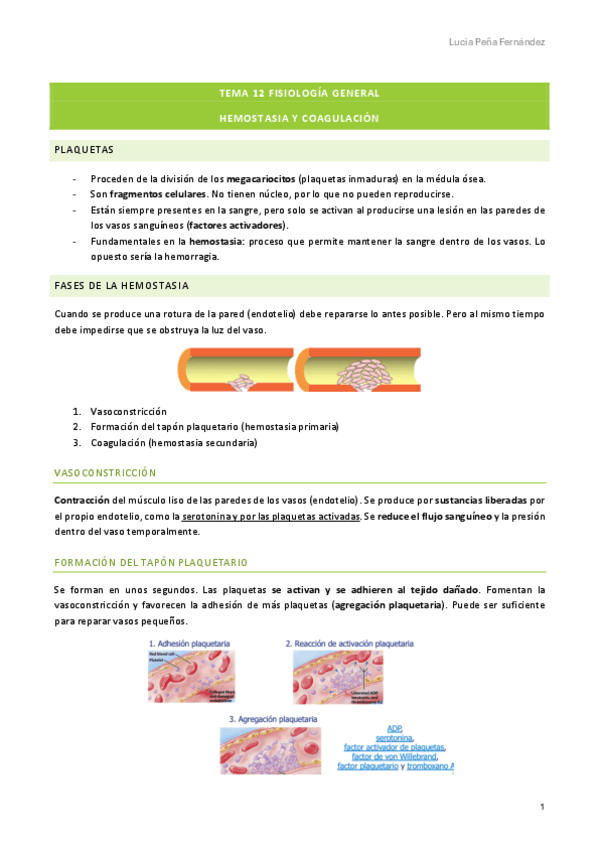 Miniatura del documento tema-12-fisiologia-general-hemostasia-y-coagulacion.pdf