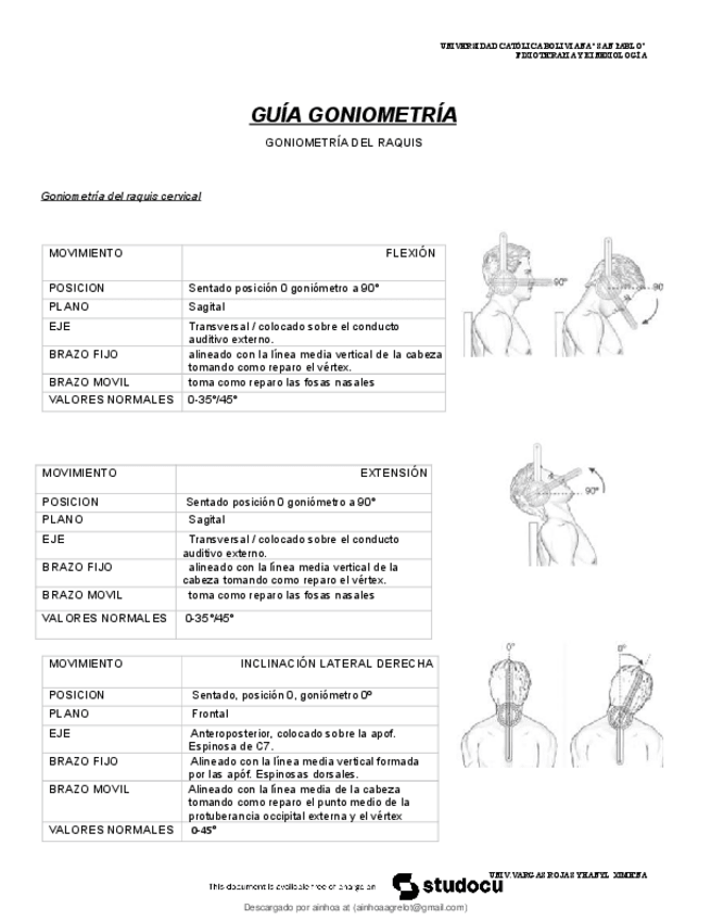 Miniatura del documento guia-goniometria.pdf