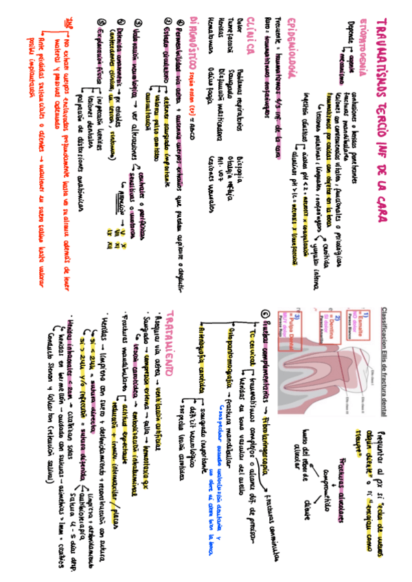 Miniatura del documento Traumatismos-cara.pdf