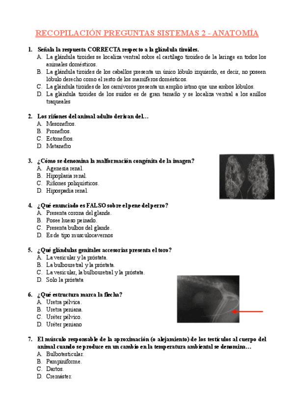Miniatura del documento RECOPILACION-PREGUNTAS-SISTEMAS-2-ANATOMIA.pdf