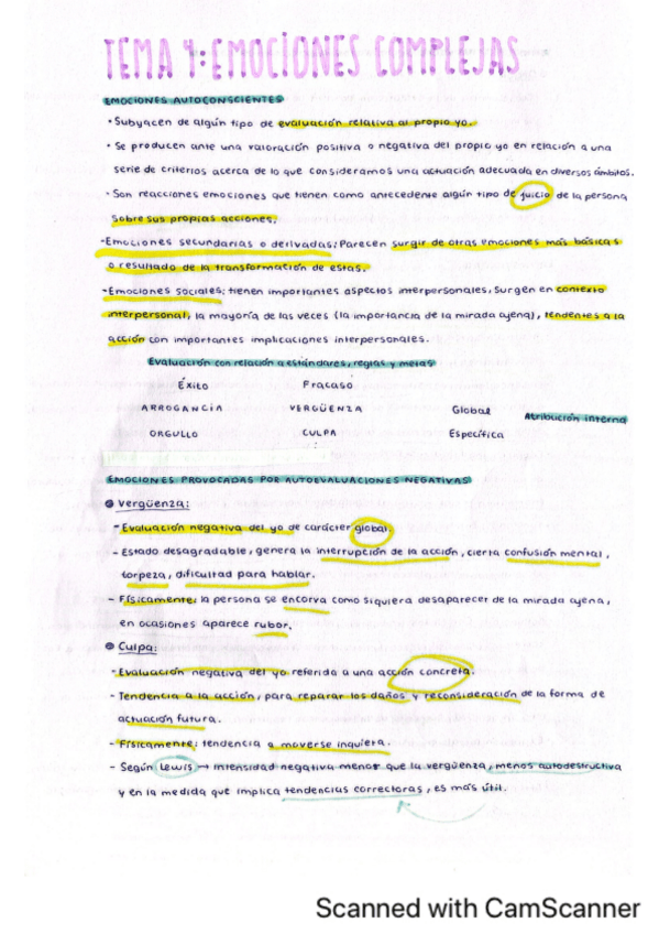 Miniatura del documento Tema-4.-Emociones-complejas.pdf