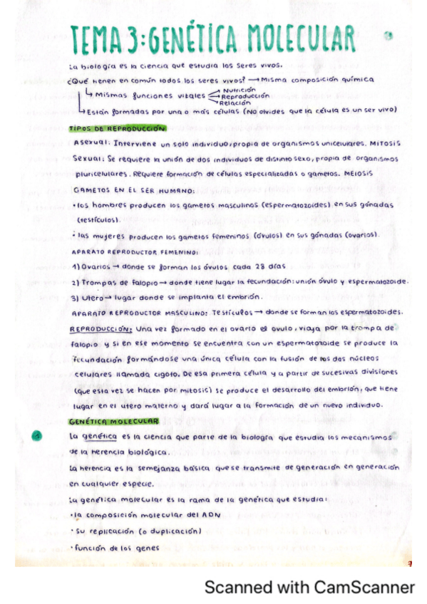 Miniatura del documento Tema-3.-Genetica-molecular.pdf