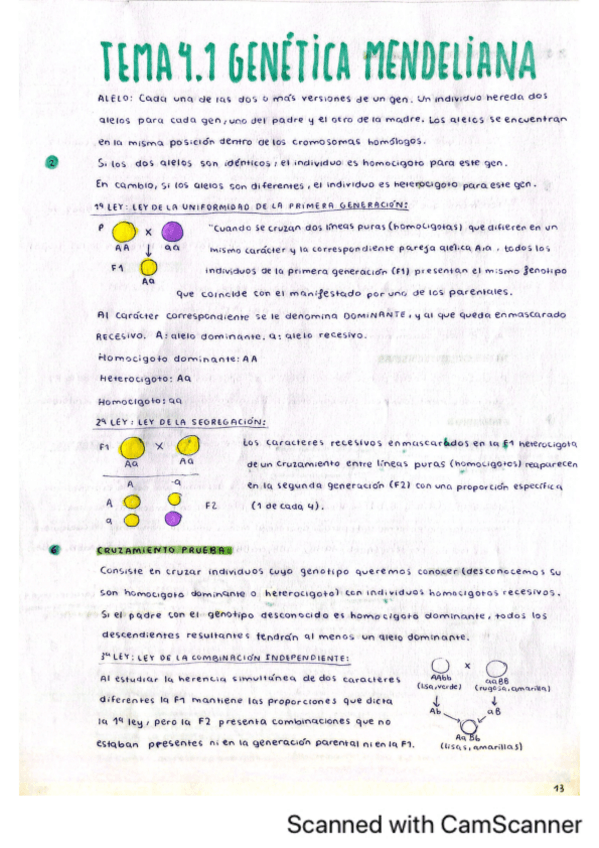 Miniatura del documento Tema-4.-Genetica-mendeliana-expresion-genica-t-epigenetica.pdf