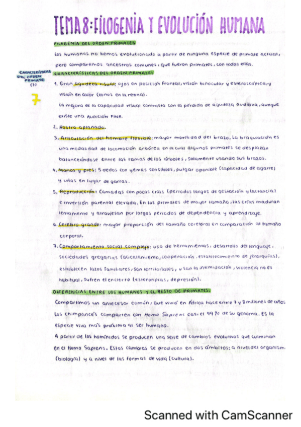 Miniatura del documento Tema-8.-Filogenia-y-evolucion-humana.pdf