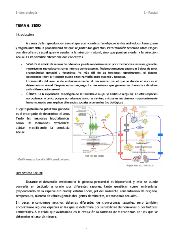 Miniatura del documento APUNTES-2n-Parcial-endocrinologia.pdf