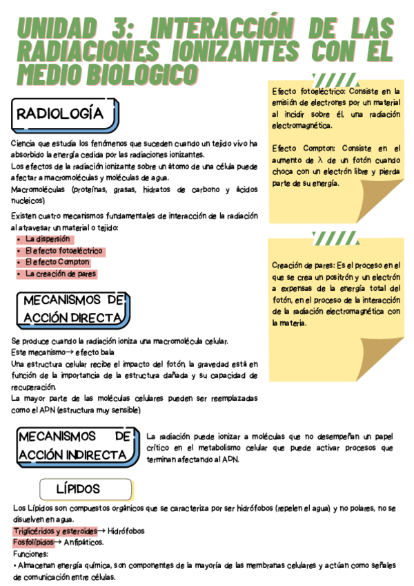 Miniatura del documento UNIDAD-3.pdf