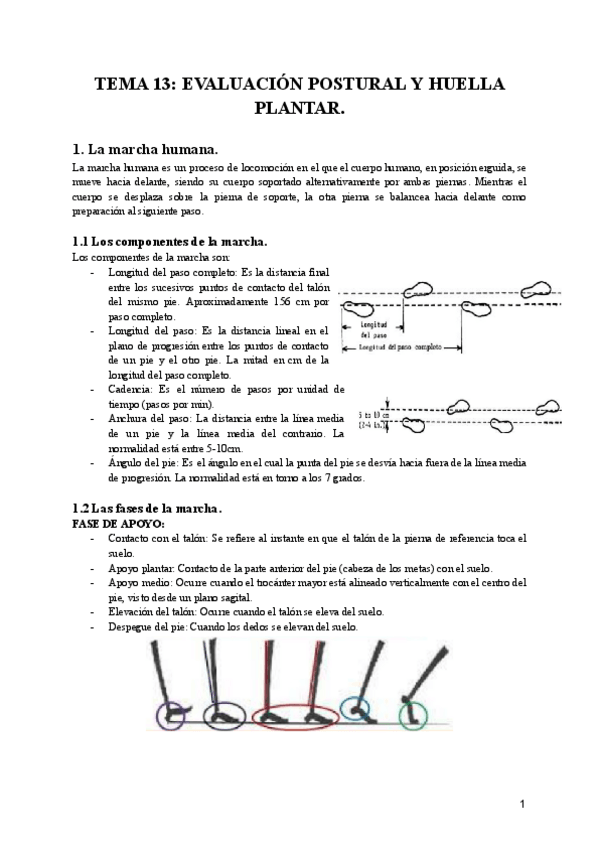 Miniatura del documento TEMA-13-EVALUACION-POSTURAL-Y-HUELLA-PLANTAR.pdf