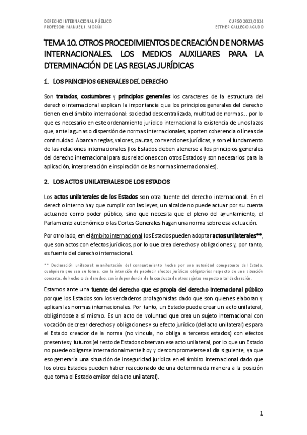 Miniatura del documento Tema-10.-Dcho-Internacional-Publico.pdf