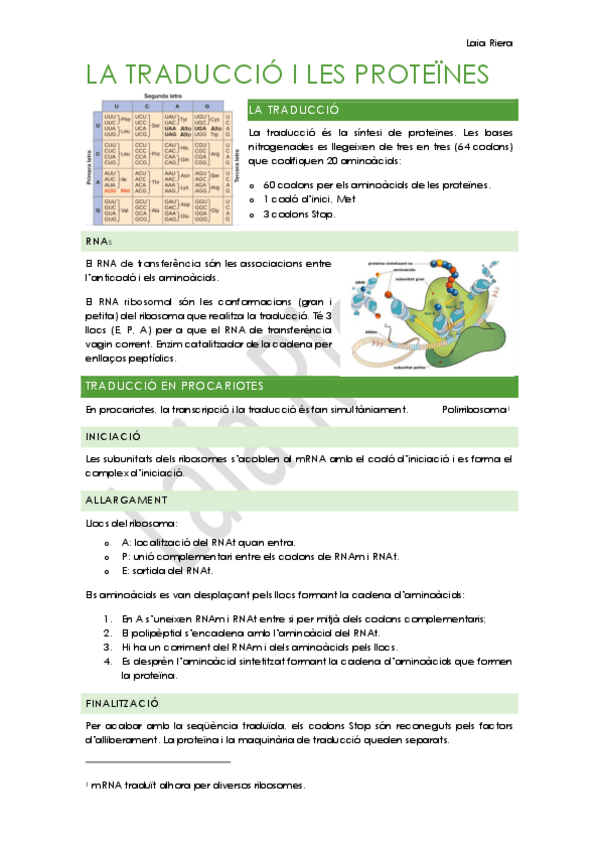 Miniatura del documento 8.-La-traducció-i-les-proteines.pdf