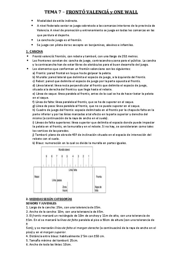 Miniatura del documento TEMA-7-FRONTON.pdf