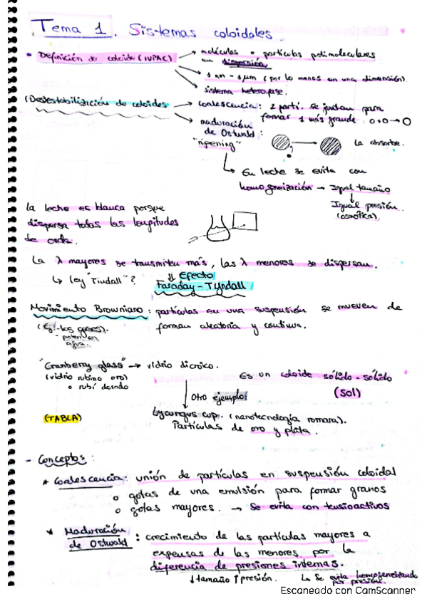 Miniatura del documento Apuntes.pdf
