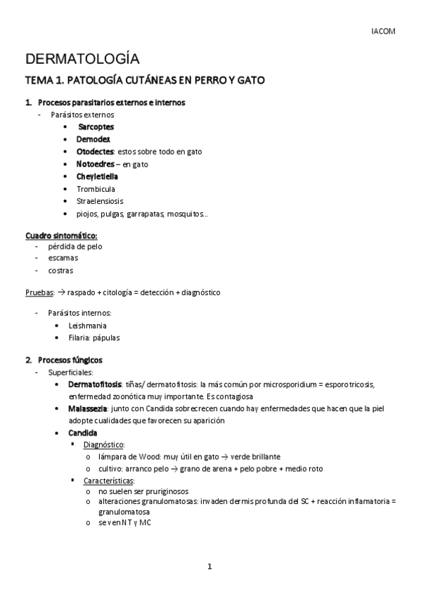 Miniatura del documento compania-1-cuatri.pdf