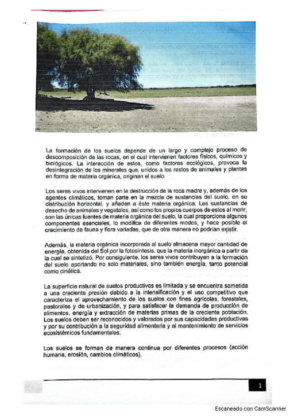 Miniatura del documento Suelos-relacion-con-quimica-apunte.pdf