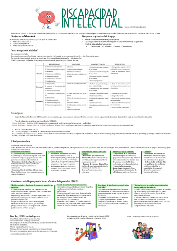Miniatura del documento Discapacidad-Intelectual-Esquemas.pdf