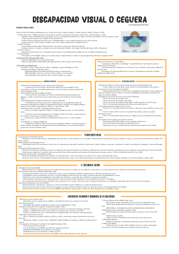 Miniatura del documento Esquemas-Alumno-con-Discapacidad-Visual.pdf