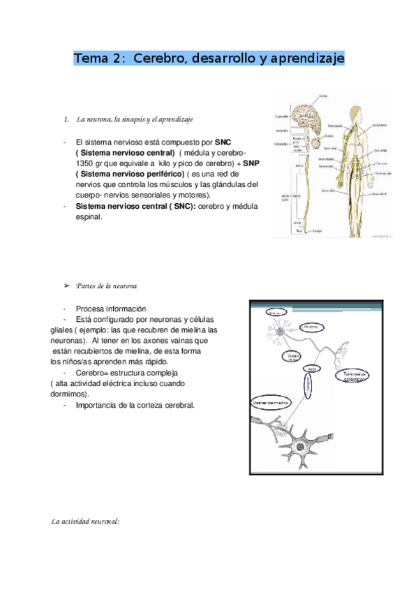 Miniatura del documento TEMA-2.docx
