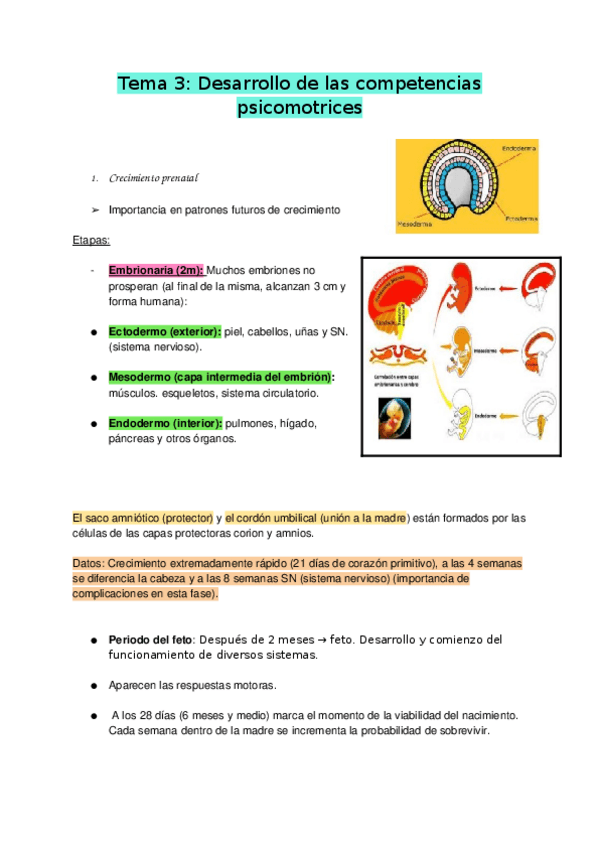 Miniatura del documento TEMA-3-DESARROLLO-DE-LAS-COMPETENCIAS-PSICOMOTRICES.docx