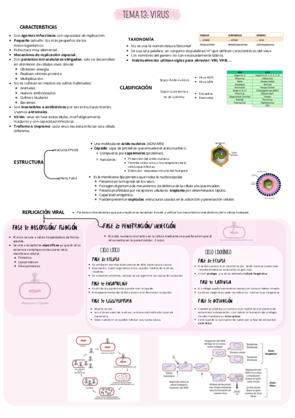 Miniatura del documento ESQUEMA-VIRUS.pdf