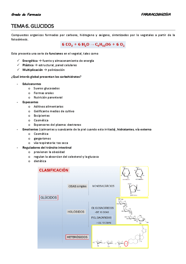 Miniatura del documento TEMA 6.pdf