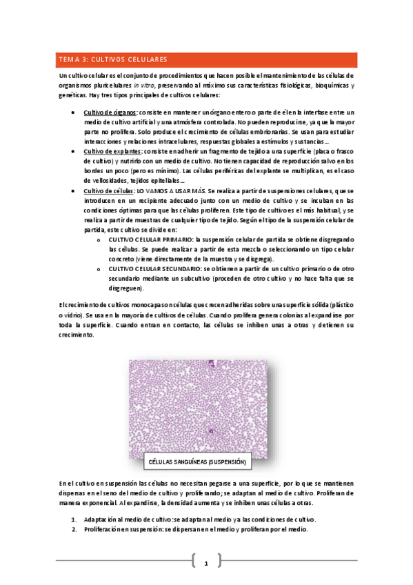 Miniatura del documento TEMA-3-BIOLOGIA-MOLECULAR.pdf