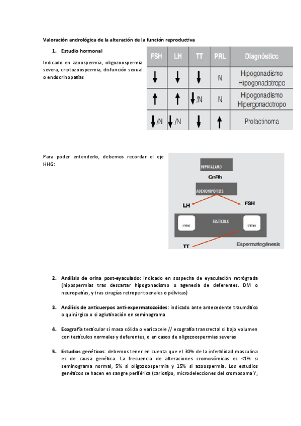 Miniatura del documento URO-afectacion-repro-masculina.pdf