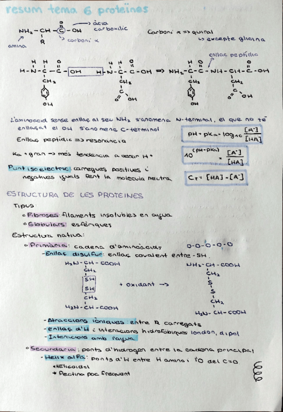Miniatura del documento resum-tema-6-proteines.pdf