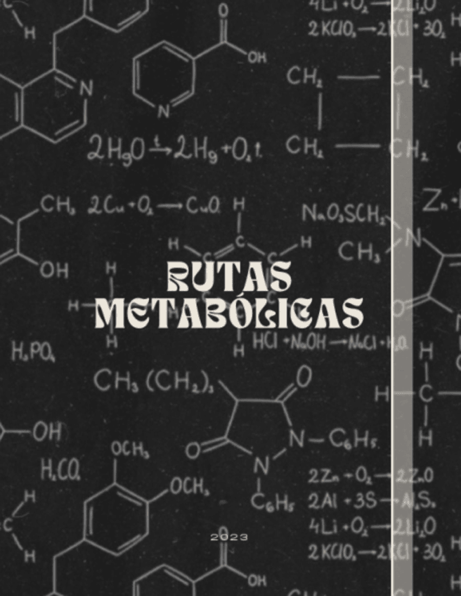 Miniatura del documento RUTAS-METABOLISMO.pdf
