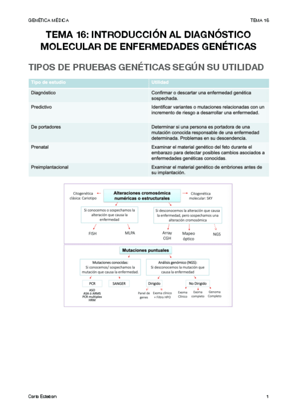 Miniatura del documento genetica-tema-16.pdf