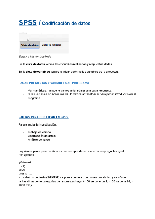 Miniatura del documento SPSS-Codificacion-de-datos.pdf