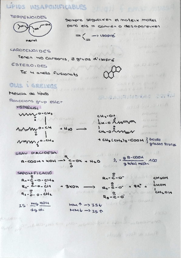Miniatura del documento resum-tema-7-lipids.pdf